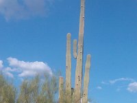IMG 20140824 170555