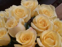 IMG 20140901 113556