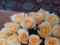 IMG 20140901 113615