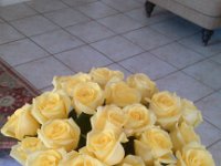 IMG 20140901 113703