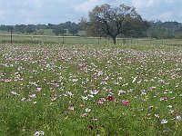 IMG 20140916 103535