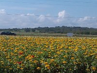 IMG 20140916 103650