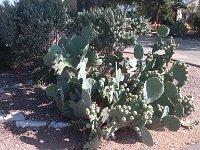 IMG 20140916 103751