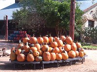 IMG 20140916 103848