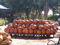 IMG 20140916 103857