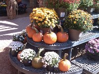 IMG 20140916 105153