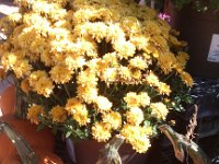 IMG 20140916 105224