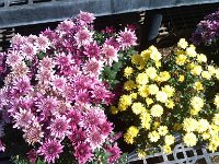 IMG 20140916 105229