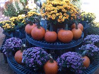 IMG 20140916 105310