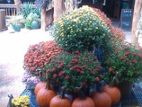IMG 20140916 110711