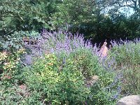 IMG 20140916 110937