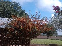IMG 20140916 111003