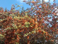 IMG 20140916 111019