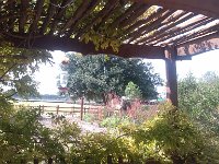 IMG 20140916 111138