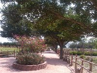 IMG 20140916 111144