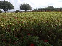 IMG 20140916 111245