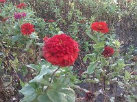 IMG 20140916 111256