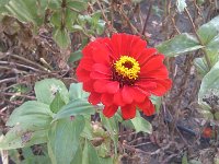 IMG 20140916 111304