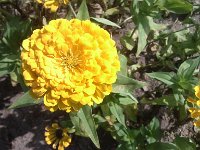 IMG 20140916 111338