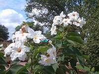 IMG 20140916 111557