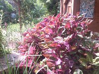 IMG 20140916 111733