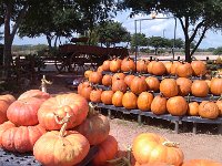 IMG 20140916 113110