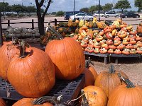IMG 20140916 113124