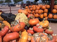 IMG 20140916 113138