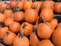 IMG 20140916 113148