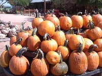 IMG 20140916 113215