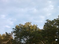 IMG 20140925 080342