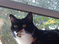 IMG 20140925 084805