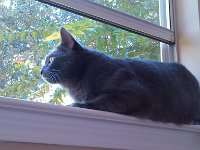IMG 20140925 084910