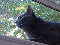IMG 20140925 084931