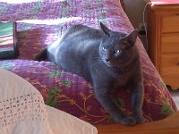 IMG 20140925 085537
