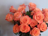 IMG 20140928 120534