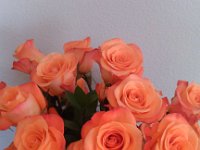IMG 20140928 120548