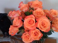 IMG 20140928 120553