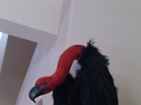 IMG 20140928 120741