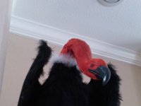 IMG 20140928 120749