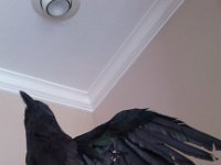 IMG 20140928 120800