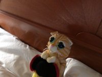 IMG 20141016 083318