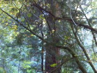 IMG 20141018 143306