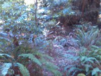 IMG 20141018 144636