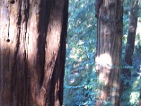 IMG 20141018 150233