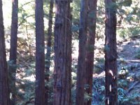 IMG 20141018 151341