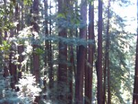 IMG 20141018 151348