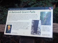 IMG 20141018 162116