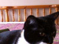 IMG 20141116 104947