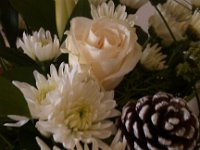 IMG 20141206 105149
